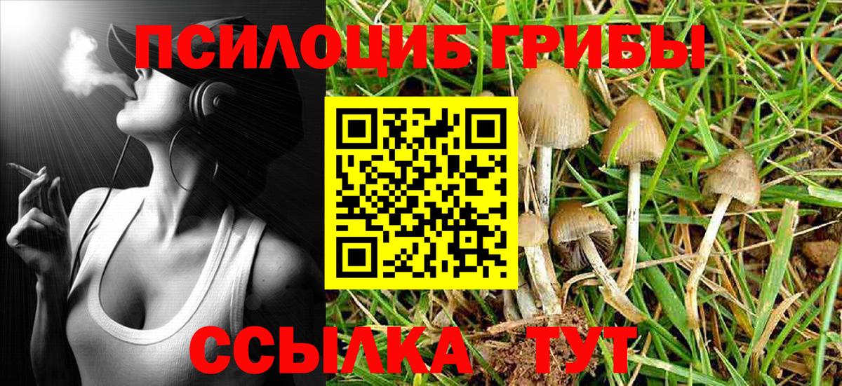 Кудымкар  купить  цена  Вход с VPN  Галлюциногенные грибы Psilocybine cubensis  Галлюциногенные грибы Magic Shrooms 