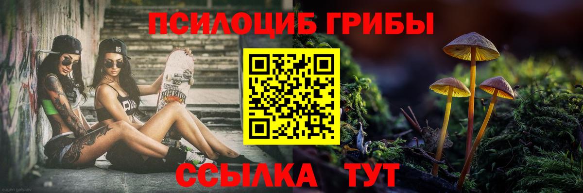 Псилоцибиновые грибы MAGIC MUSHROOMS Кудымкар